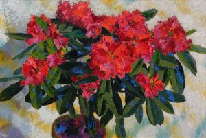 Rhododendron 1938