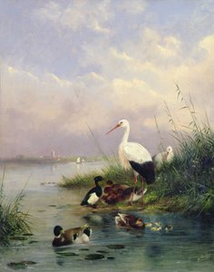 A Family of Mallard, Two Storks and a Family of Tufted Ducks by Augustus Knip