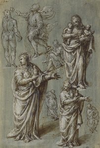 Sheet of Studies of Various Figures by Aurelio Luini