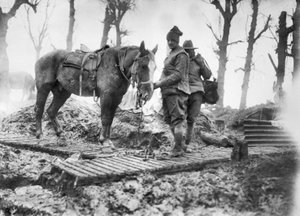 An Artillery Horse Used for Transporting Ammunition to the Guns and Its Unidentified Australian Driver on a Duckboard Track Between Mametz and Montauban, December 1916