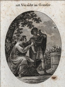 Allegory of Caution While Enjoying by Austrian School