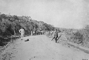 Construction of a Road in S. Bernardo
