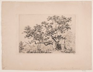 The Royal Oak by Axel Schovelin