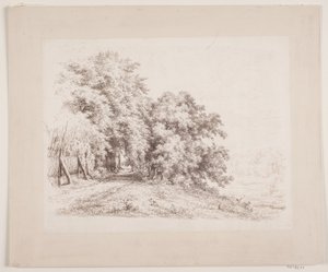 The Path by Trees and Meadows by Axel Schovelin