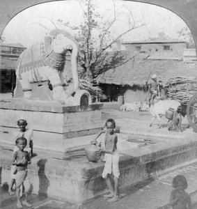 An Elephant Fountain, Madura, India, 1901