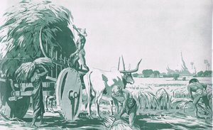 A paddy field in Burma, from MacMillan school posters, c.1950-60s by Ba Nyan