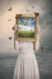 Butterflies Dreamscape Frame