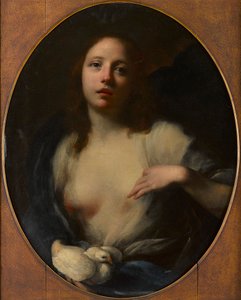 Young Girl with White Dove by Baldassare (1611 89) Franceschini