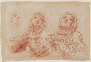 Studies for the Head of the Virgin by Baldassare Franceschini
