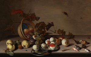 Fruit Still Life with Wicker Basket, Mussels and Butterfly by Balthasar van der Ast