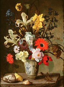 Floral Study with beaker, grasshopper and seashells