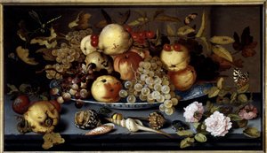 Still Life of Fruits, Flowers, Shells and Insects by Balthasar van der Ast
