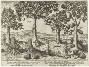 Fruit Trees and Shrubs from East Indies by Baptista van Doetechum