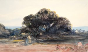 Landscape: Pine and Small Turret by Barbara Leigh Smith Bodichon