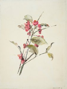 Pink Flowers by Barbara Leigh Smith Bodichon
