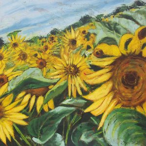 Golden Sunflower Field