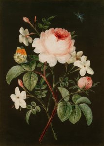Bouquet of Rose and Jasmine