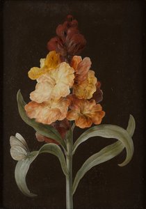 Set of Four Still Lifes with Butterflies