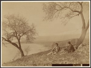 Flowering Almonds, Taormina