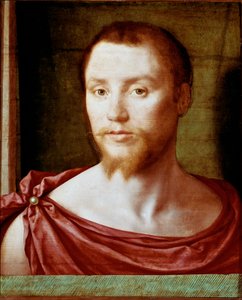 Portrait of Man with the Antique Red Man Face with Double-Pointed Beard