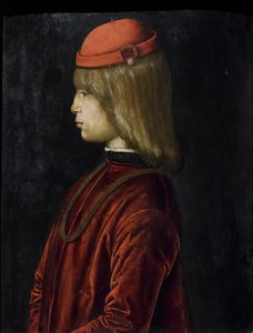 Portrait of Guidubaldo da Montefeltro, c.1480-81