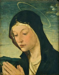 Head and Hands of an Adoring Madonna (Fragment) by Bartolomeo Montagna