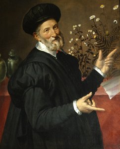 The Botanist by Bartolommeo Passerotti
