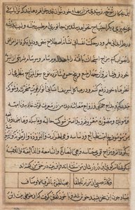 Page from Tales of a Parrot Tuti-nama: text page by Basavana
