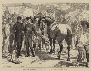 Buying Horses in Brittany for the French Army by Basil Bradley