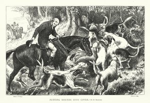 Putting Hounds into Cover