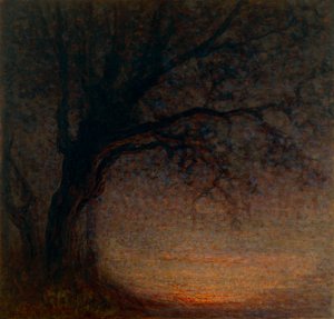 Dead Tree by Battista Constantini