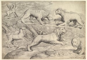 Six Animals, including lions, a tiger, a leopard, a griffin, and a goat, ca. 1530-61 by Battista Franco Veneziano