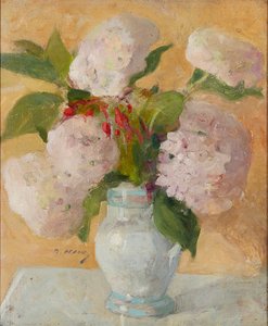 Hydrangeas