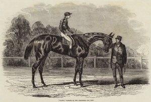 Nancy, Winner of the Goodwood Cup, 1851 by Benjamin Herring