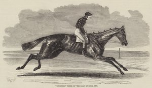 Songstress, Winner of The Oaks, at Epsom by Benjamin Herring