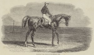 Woolwich, the Winner of the Emperor