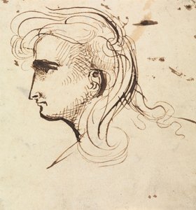 Head Study by Benjamin Robert Haydon