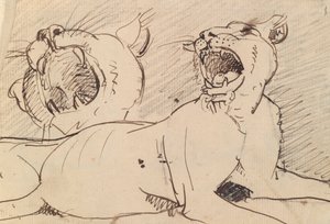 Study of a Lioness by Benjamin Robert Haydon
