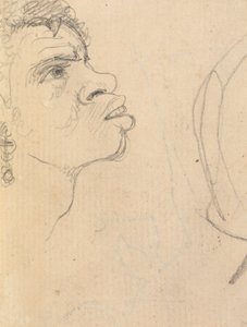 Study of an Ethnic Woman