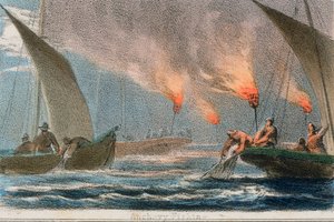 Anchovy Fishing