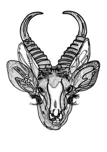 Double Doe, 2019