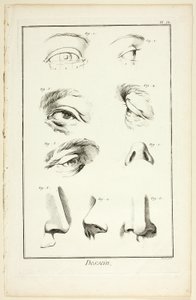 Design: Facial Anatomy from Encyclopédie by Benoit Louis Prevost