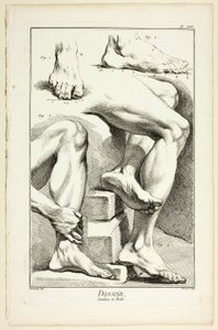 Design: Legs and Feet, from Encyclopédie