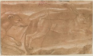A Hound Chasing a Hare by Benozzo Gozzoli