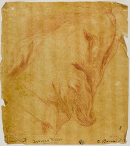 Head of a Dog by Bernard Baron