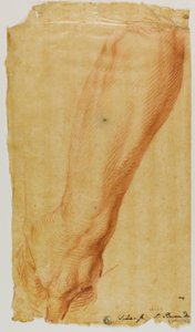 Left Arm of a Hunter by Bernard Baron