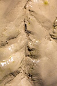 Gironde Estuary, Mud on a Bank at Low Tide