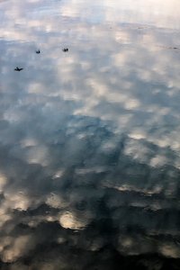 Reflections of Clouds and Birds on the Surface of the Garonne River in Toulouse, Haute-Garonne
