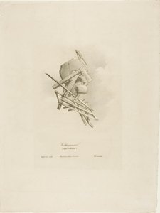 The Carpenter, from Arts et Métiers by Bernard Gaillot