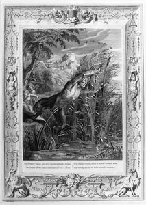 Pan Chases Syrinx (engraving)